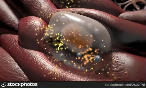 Lung Immunity and Inflammation3D illustration. Lung Immunity and Inflammation
