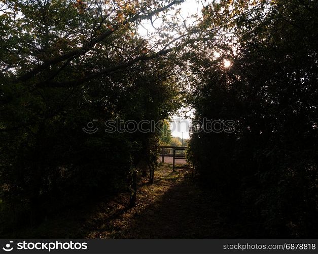 lush archway through nature countryside to walk and ramble through with wooden gate entrance peaceful and serene day
