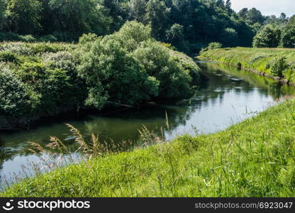 Lush foliage surrounds the Green River as it flow throught Kent, Washington.