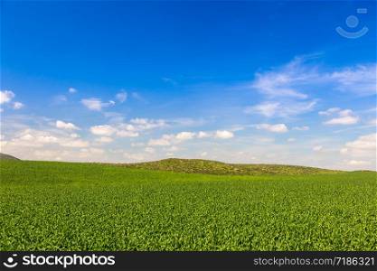 Lush Green Farm Land Landscape With Hills In The Distance.