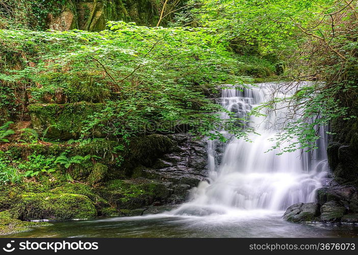 Lush green forest scene with long exposure blurred waterfall flowing through and over rocks covered in lichen and moss