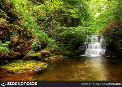 Lush green forest scene with long exposure blurred waterfall flowing through and over rocks covered in lichen and moss