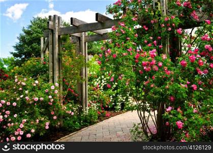 Lush green garden with stone landscaping, flowers, and arbor