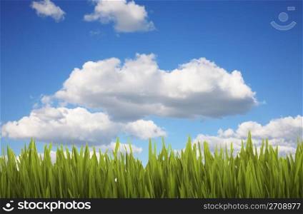 Lush green grass against a cloudy, blue sky.