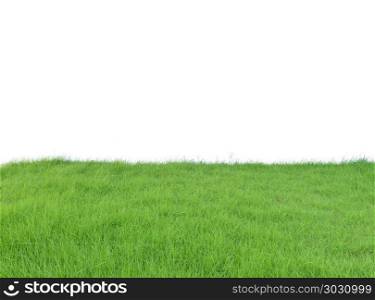 Lush Green Grass field isolated on white background, clipping pa. Lush Green Grass field isolated on white background, clipping path inside. Lush Green Grass field isolated on white background, clipping path inside