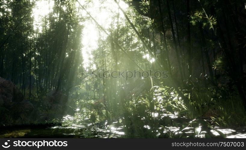 Lush green leaves of bamboo near the shore of a pond with stones.
