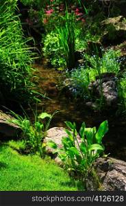 Lush green plants and rocks along tranquil stream
