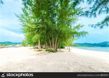 lush green trees and turquoise sea with white sandy beach, Krabi province, Thailand