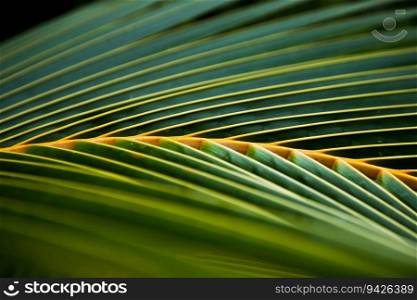 lush green tropical vegetation background