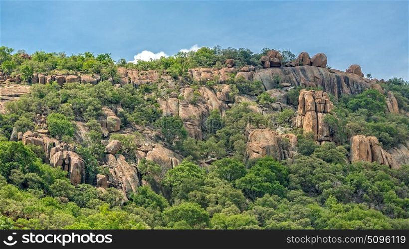Lush green vegetation on the rocky hills at the outskirts of Gaborone, Botswana