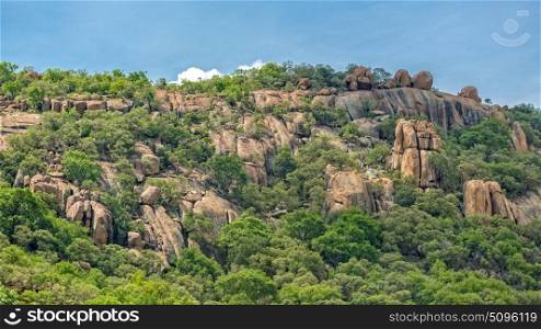 Lush green vegetation on the rocky hills at the outskirts of Gaborone, Botswana