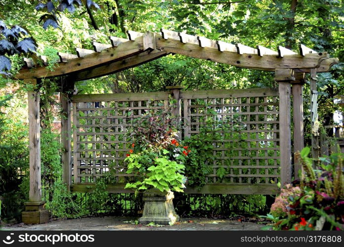 Lush japanese garden with wooden gate structure