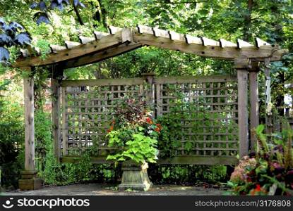 Lush japanese garden with wooden gate structure