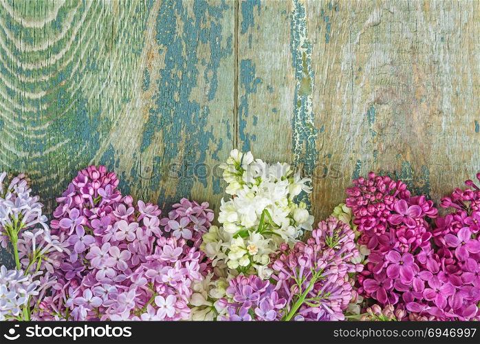 Lush multicolored bunches of lilac flowers on an old wooden background