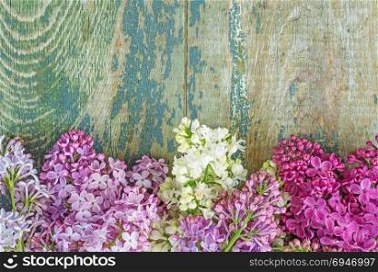 Lush multicolored bunches of lilac flowers on an old wooden background