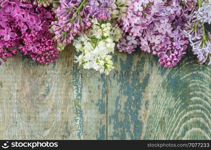 Lush multicolored bunches of lilac flowers on an old wooden background