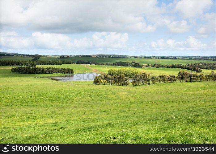 Lush pasture in farmland, Southern Victoria, Australia