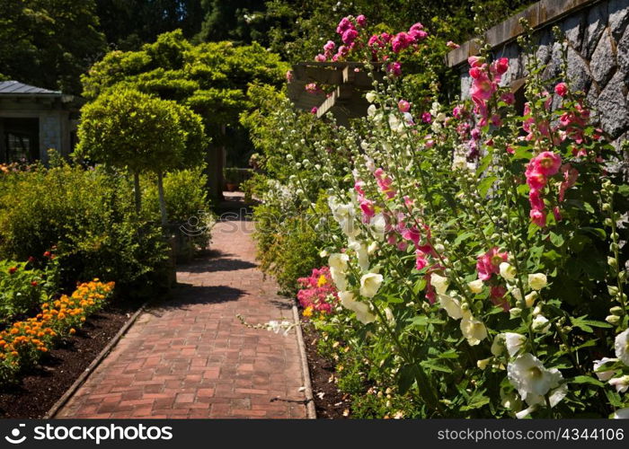 Lush summer garden with paved path and blooming flowers