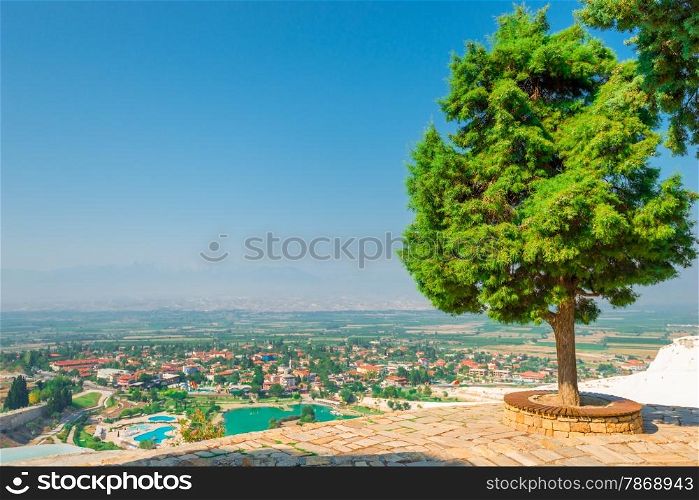 lush trees on the hill Pamukkale and city views