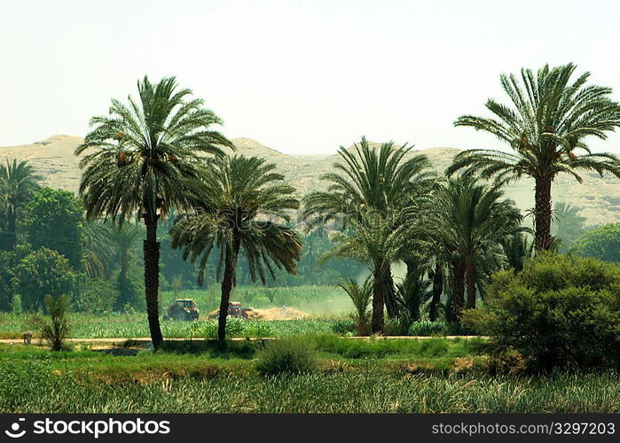 Luxor, Egypt, Africa