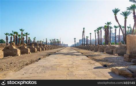 Luxor, Egypt, Sphinx avenue in the heart of the ancient city that has been excavated and is now being restored.