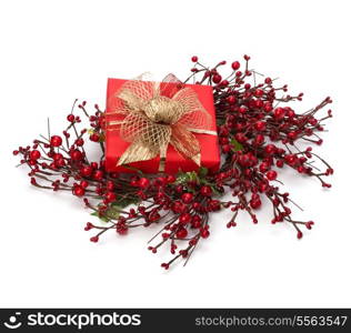 Luxurious gift isolated on white background