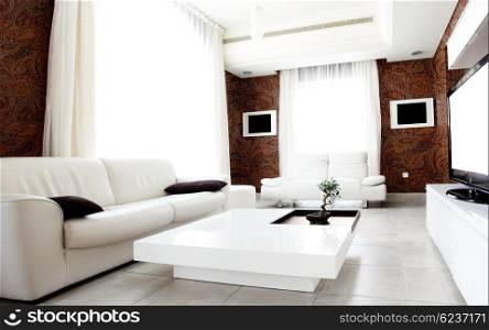 Luxury apartment with stylish modern interior design