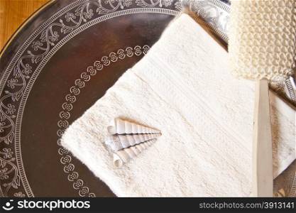 Luxury bath or shower set with towel, brush and shells on silver scale