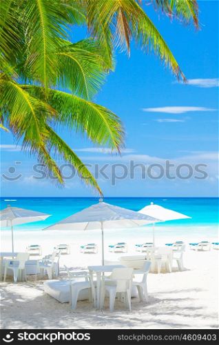 Luxury beach cafe on beautiful clean seashore, blue cloudy sky, peaceful sea, fresh green palm tree leaves, exotic nature, tropical resort&#xA;