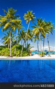 Luxury beach resort, scene destination, relaxation in paradise, exotic nature, beautiful hotel resort on an island, clear blue sea and fresh palm tree