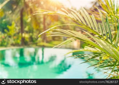 Luxury beach resort, summer vacation in the hotel on the tropical island, poolside and exotic plants, travel and tourism concept