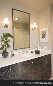 Luxury interior design, bathroom