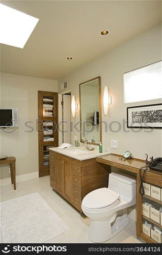 Luxury interior design, bathroom