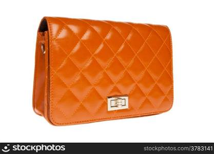 luxury leather female bag isolated on white