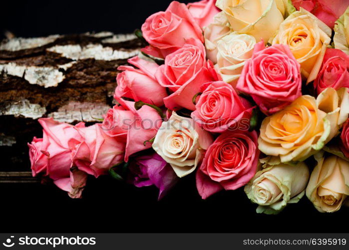 Luxury pink and beige roses border on the black background. pink and beige roses border