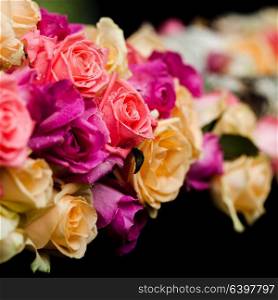 Luxury pink and beige roses border on the black background. pink and beige roses border