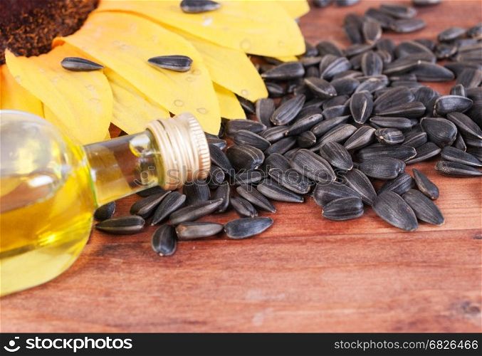 Lying on the boards, the bottle of oil and sunflower seeds. Focus on the bottle.. The bottle of oil and sunflower seeds. Close-up.