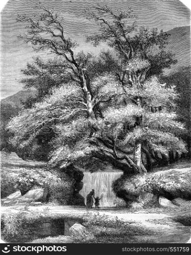 Lys Valley, vintage engraved illustration. Magasin Pittoresque 1869.