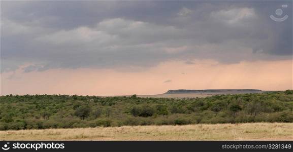 Maasai Mara landscape in Kenya Africa