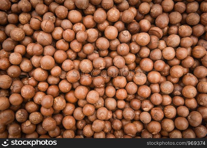 Macadamia nuts texture Background with dried / Fresh macadamia nut shelled from natural high protein for to drying