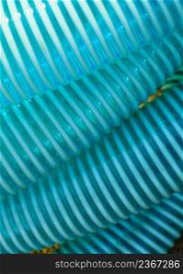 Machines, production concept. Detailed closeup of blue flexible plastic hose, pipes.. Detailed closeup of flexible plastic hose