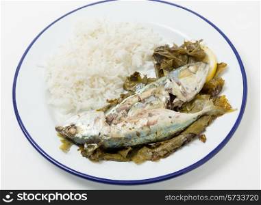 Mackerel baked in vine leaves, with olive oil, lemon and oregano, a traditional Greek dish with small mackerel or sardines, served with rice