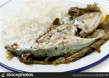 Mackerel baked in vine leaves, with olive oil, lemon and oregano, a traditional Greek dish with small mackerel or sardines, served with rice