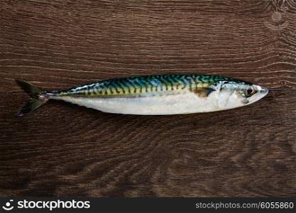 mackerel fresh fish on a wooden brown background