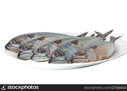 Mackerels on plate isolated on white