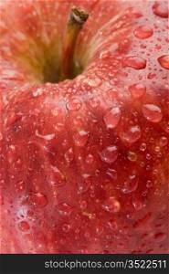 Macro apple red with drops of water - Shallow Depth of Field -