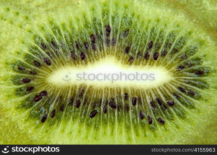 Macro background made from green kiwi slice