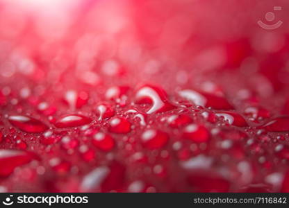 Macro background on water flower petals