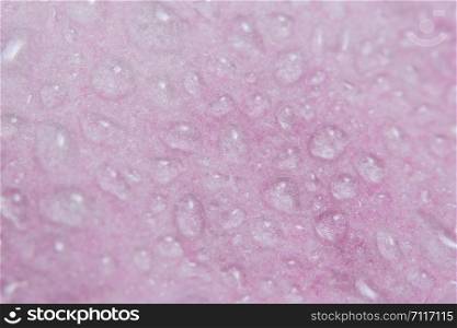 Macro background, water drops on pink flower petals.