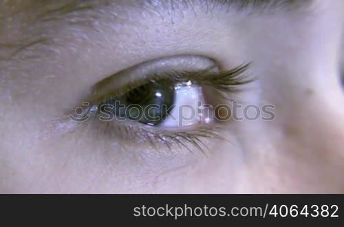 Macro Close-up Human Eye